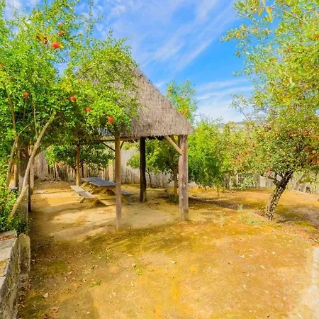 El Garrotal - El Vino By Ruralidays Holiday home *
